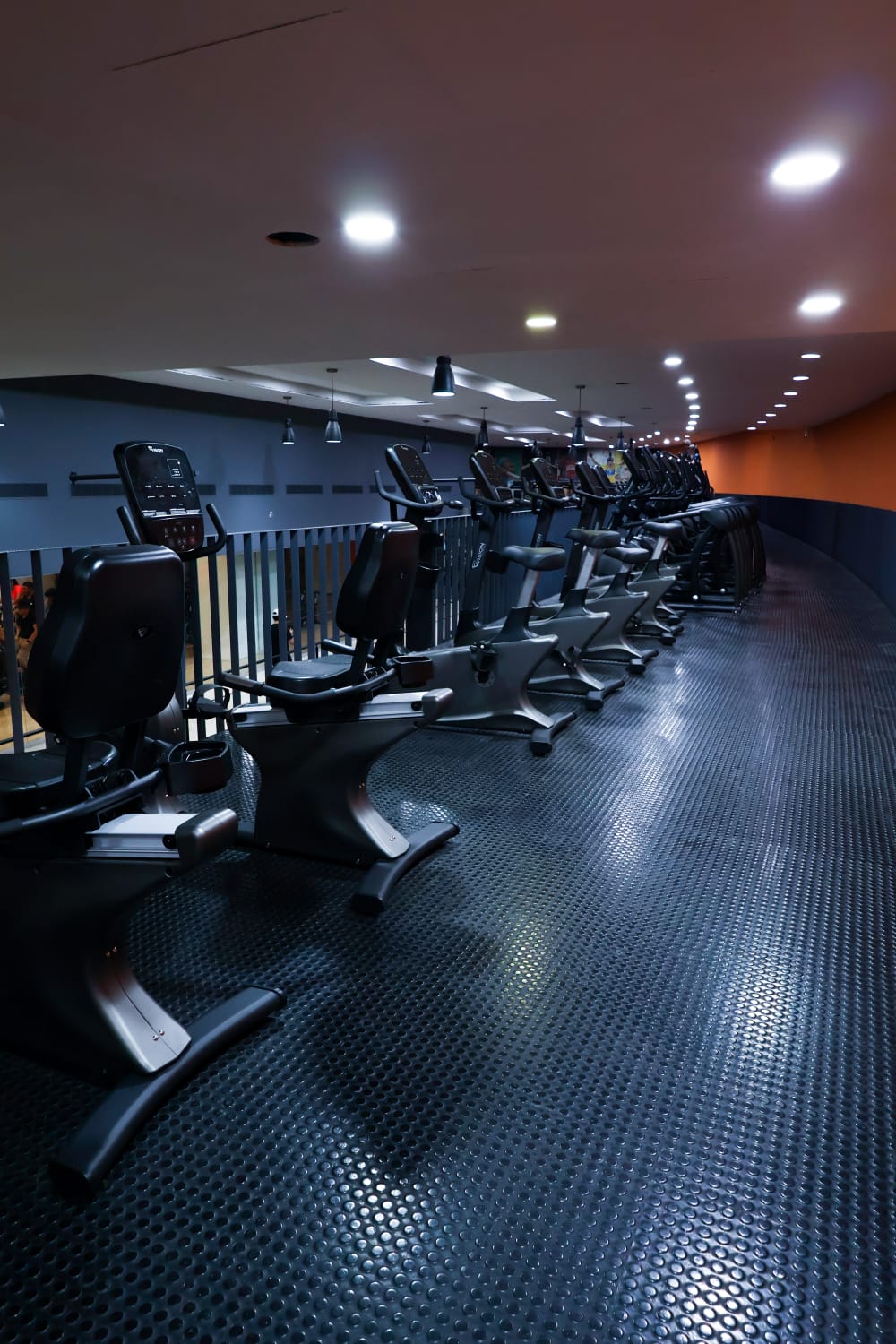 Fila de bicicletas de cardio en el nivel superior