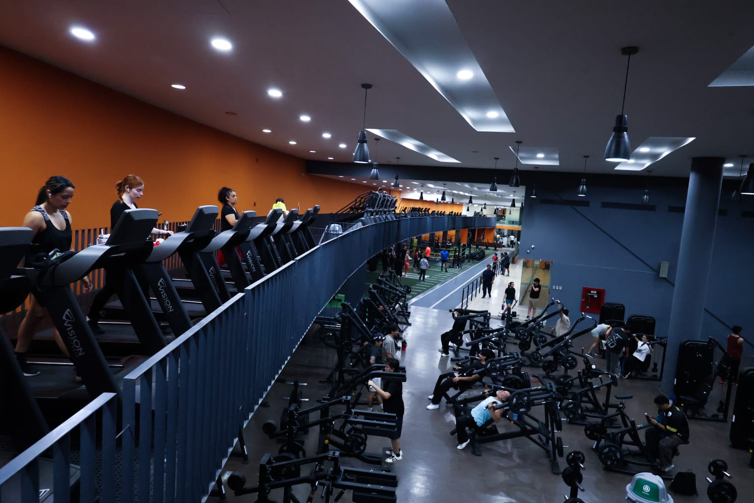 Vista panorámica de las áreas de cardio y pesas